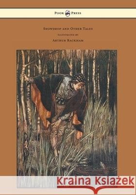 Snowdrop and Other Tales - Illustrated by Arthur Rackham Brothers Grimm Arthur Rackham 9781447477372 Pook Press - książka