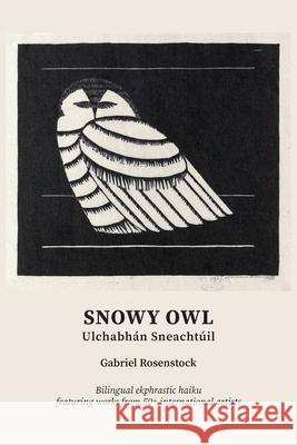 Snowy Owl: Ulchabh?n Sneacht?il Gabriel Rosenstock 9781918058048 Gabriel Rosenstock - książka