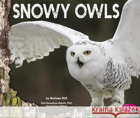 Snowy Owls Melissa Hill 9781491460542 Capstone Press - książka