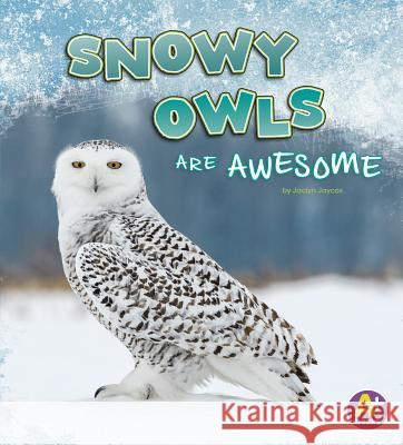 Snowy Owls Are Awesome Jaclyn Jaycox 9781977110015 Pebble Books - książka
