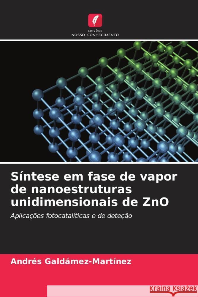 S?ntese em fase de vapor de nanoestruturas unidimensionais de ZnO Andr?s Gald?mez-Mart?nez 9786206678106 Edicoes Nosso Conhecimento - książka