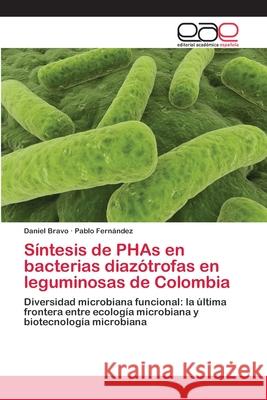 Síntesis de PHAs en bacterias diazótrofas en leguminosas de Colombia Daniel Bravo, Pablo Fernández 9783659060526 Editorial Academica Espanola - książka