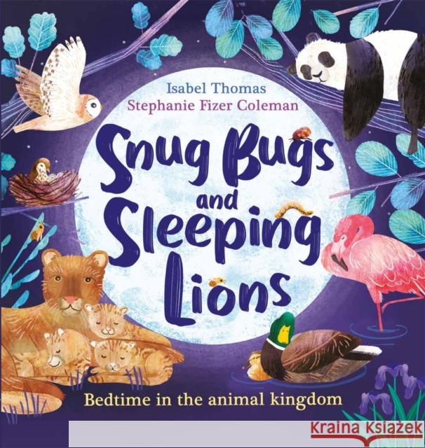 Snug Bugs and Sleeping Lions: Bedtime in the Animal Kingdom Thomas, Isabel 9781526362575 Hachette Children's Group - książka