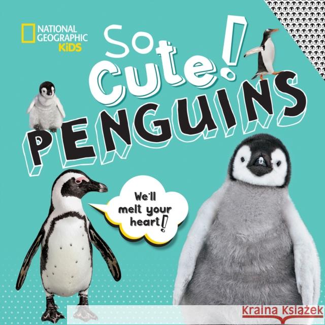 So Cute: Penguins Crispin Boyer 9781426337420 National Geographic Kids - książka