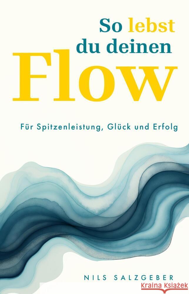 So lebst du deinen Flow Salzgeber, Nils 9783959728317 FinanzBuch Verlag - książka