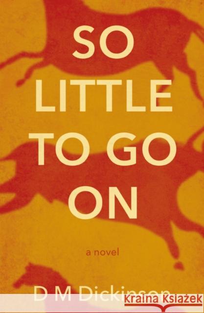 So Little to Go On D M Dickinson 9781800462533 Troubador Publishing - książka