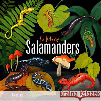 So Many Salamanders Diane Lang Katy Tanis 9780937207192 Smokies Life - książka
