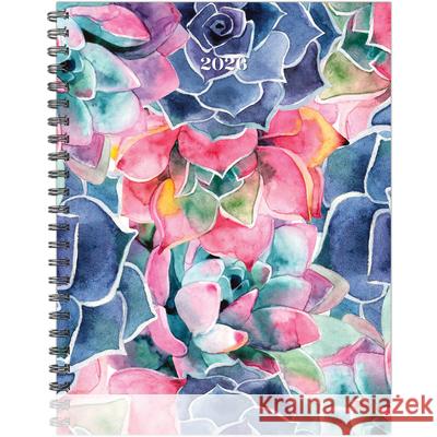 So Very Succulent 2026 8.5 X 11 Weekly Monthly Softcover Planner Willow Creek Press 9781549257377 Willow Creek Press Calendars - książka