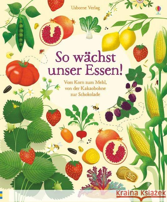 So wächst unser Essen! : Vom Korn zum Mehl, von der Kakaobohne zur Schokolade Bone, Emily 9781782327592 Usborne Verlag - książka