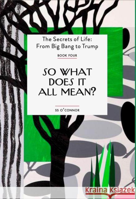 So What Does It All Mean? Sean O'Connor 9781739155933 Otium Press - książka