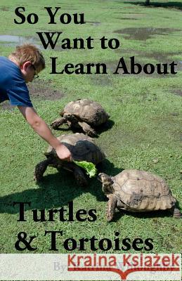 So You Want to Learn About Turtles & Tortoises Willoughby, Katrina 9781950285013 Willoughby Arts - książka