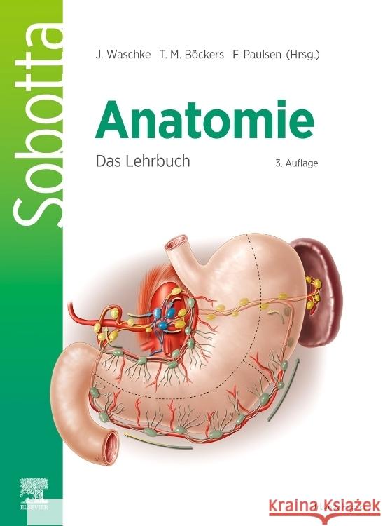 Sobotta Anatomie - Das Lehrbuch  9783437411878 Elsevier, München - książka