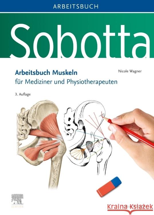 Sobotta Arbeitsbuch Muskeln Wagner, Nicole 9783437413346 Elsevier, München - książka