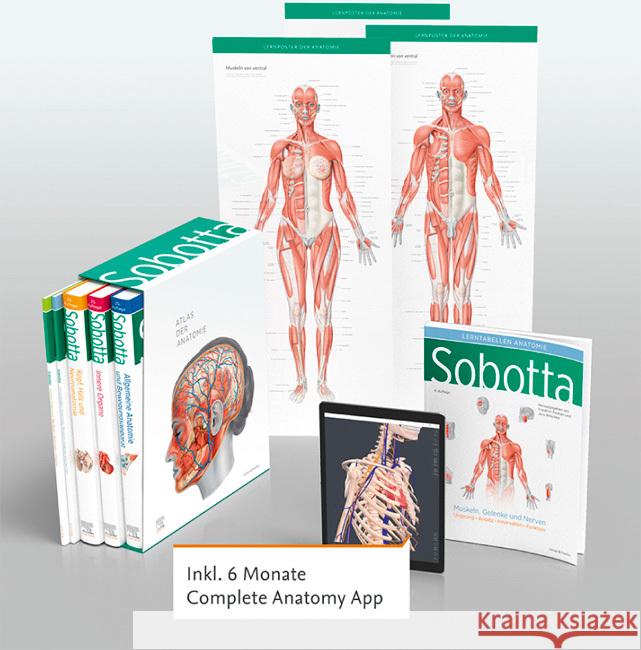 Sobotta Atlas der Anatomie, 3 Bände + Lerntabellen + Poster Collection im Schuber und 6-monatiger Zugang zur Complete Anatomy-App Paulsen, Friedrich, Waschke, Jens 9783437441707 Elsevier, München - książka