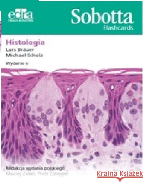 Sobotta Flashcards. Histologia L. Bräuer M. Scholz 9788365625021 Edra Urban & Partner - książka