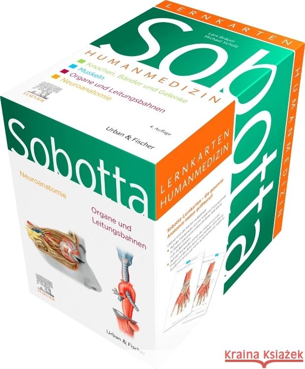 Sobotta Lernkarten Humanmedizin Bräuer, Lars, Scholz, Michael 9783437411571 Elsevier, München - książka