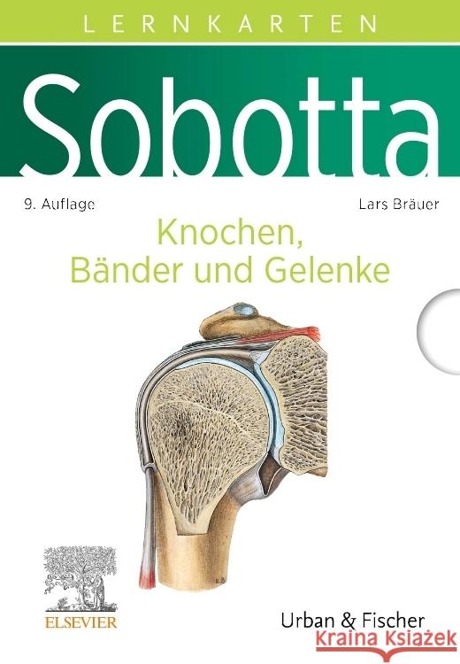 Sobotta Lernkarten Knochen, Bänder und Gelenke Bräuer, Lars 9783437411595 Elsevier, München - książka