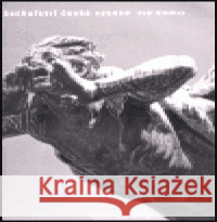 Sochařství české secese Petr Wittlich 9788071849735 Karolinum - książka