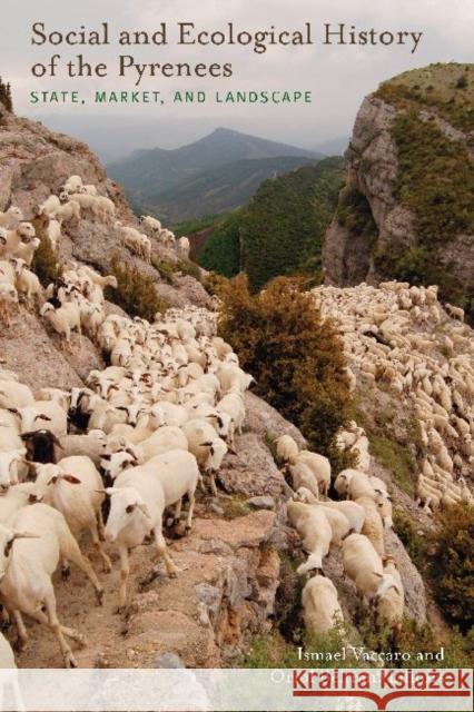 Social and Ecological History of the Pyrenees: State, Market, and Landscape Vaccaro, Ismael 9781598746129 Left Coast Press - książka