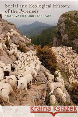 Social and Ecological History of the Pyrenees: State, Market, and Landscape Ismael Vaccaro Oriol Beltran  9781598746136 Left Coast Press Inc - książka