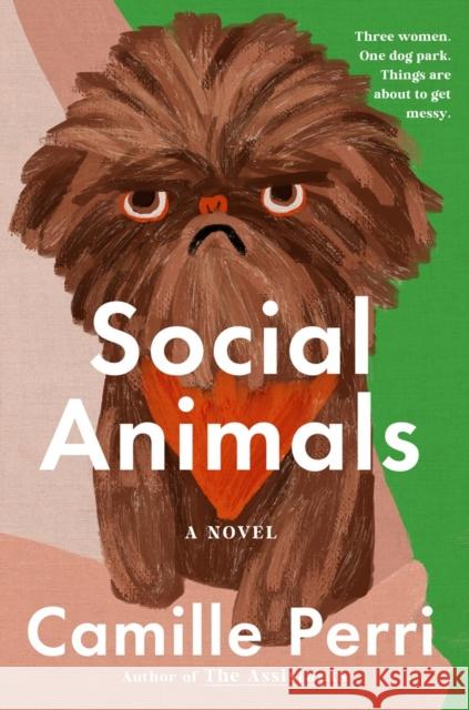 Social Animals Camille Perri 9798217181759 Penguin Putnam Inc - książka