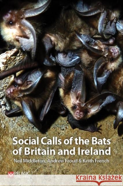 Social Calls of the Bats of Britain and Ireland Neil Middleton Andrew Froud Keith French 9781907807978 Pelagic Publishing - książka