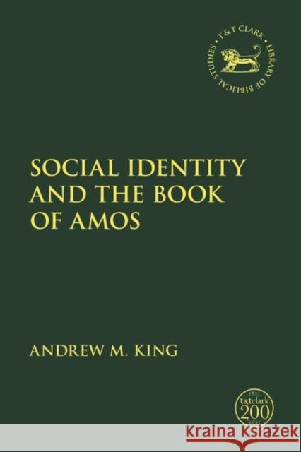 Social Identity and the Book of Amos Andrew M. King Jacqueline Vayntrub Laura Quick 9780567698414 T&T Clark - książka