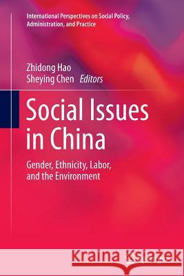 Social Issues in China: Gender, Ethnicity, Labor, and the Environment Hao, Zhidong 9781489998941 Springer - książka