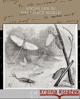 Social Life in the Insect World Jean-Henri Fabre 9781438532097 Book Jungle - książka