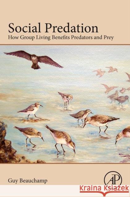 Social Predation: How Group Living Benefits Predators and Prey Beauchamp, Guy 9780124072282 Elsevier Science - książka