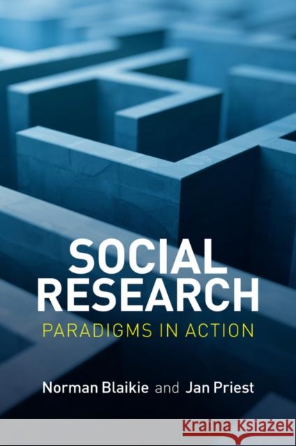 Social Research: Paradigms in Action Blaikie, Norman 9780745671840 John Wiley & Sons - książka