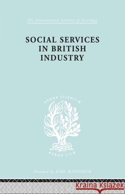 Social Services in British Industry Young, A. F. 9780415863773 Routledge - książka