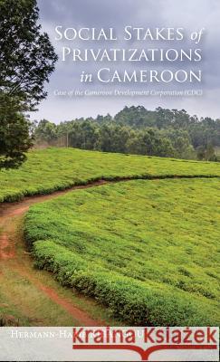 Social Stakes of Privatizations in Cameroon Hermann-Habib Kibangou 9781532659843 Resource Publications (CA) - książka