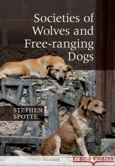 Societies of Wolves and Free-ranging Dogs Stephen Spotte 9781107656086  - książka