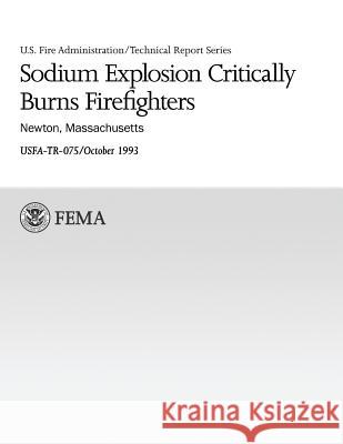 Sodium Explosion Critically Burns Firefighters: Newton, Massachusetts U. S. Fir J. Gordon Routley 9781482638141 Createspace - książka