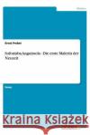 Sofonisba Anguissola - Die erste Malerin der Neuzeit Ernst Probst 9783640928033 Grin Verlag