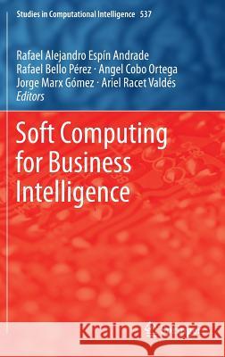 Soft Computing for Business Intelligence Rafael Espin Rafael Bello Perez Angel Cobo 9783642537363 Springer - książka