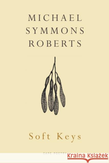 Soft Keys Michael Roberts 9780224090018  - książka