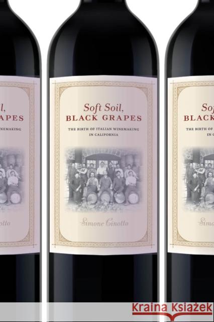 Soft Soil, Black Grapes: The Birth of Italian Winemaking in California Cinotto, Simone 9781479832361 New York University Press - książka