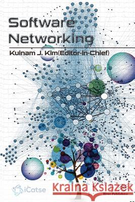 Software Networking: Journal Volume 1 - 2016 Kuinam J. Kim 9788793519527 River Publishers - książka