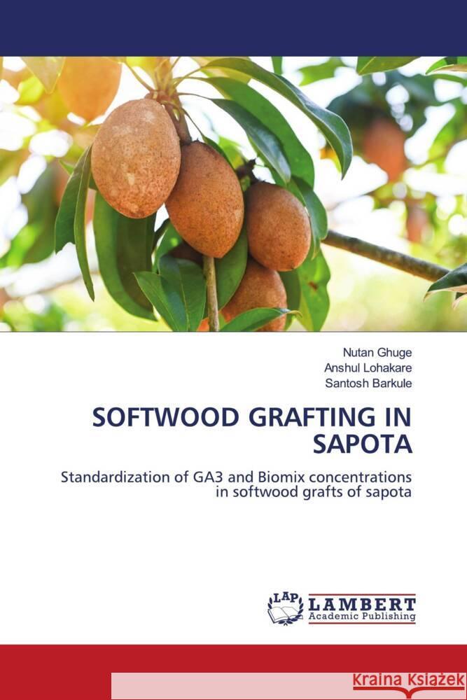 Softwood Grafting in Sapota Nutan Ghuge Anshul Lohakare Santosh Barkule 9783659928130 LAP Lambert Academic Publishing - książka