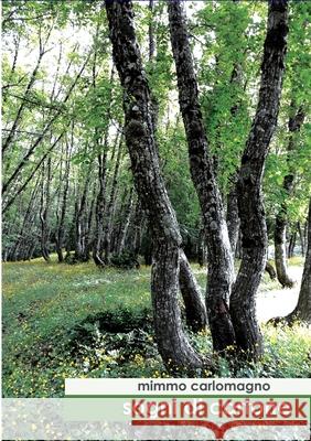 Sogni di Cartone Mimmo Carlomagno 9780244231354 Lulu.com - książka