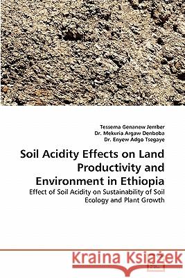 Soil Acidity Effects on Land Productivity and Environment in Ethiopia Tessema Genanew Jember, Dr Mekuria Argaw Denboba, Dr Enyew Adgo Tsegaye 9783639351323 VDM Verlag - książka