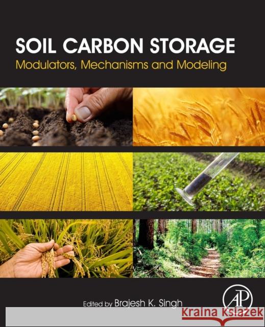 Soil Carbon Storage: Modulators, Mechanisms and Modeling Brajesh Singh 9780128127667 Academic Press - książka