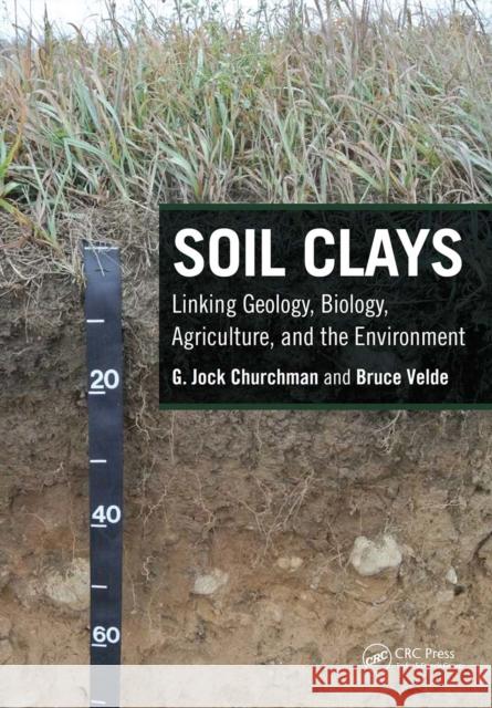 Soil Clays: Linking Geology, Biology, Agriculture, and the Environment Bruce Velde 9781032091952 CRC Press - książka