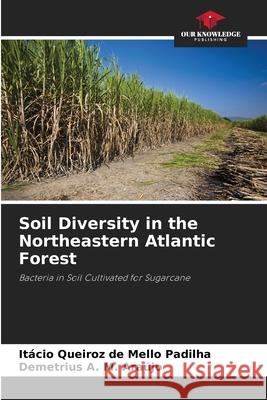 Soil Diversity in the Northeastern Atlantic Forest Queiroz de Mello Padilha, Itácio, A. M. Araújo, Demetrius 9786209159947 Our Knowledge Publishing - książka