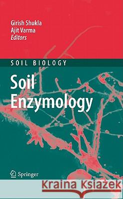 Soil Enzymology Girish Shukla Ajit Varma 9783642142246 Not Avail - książka