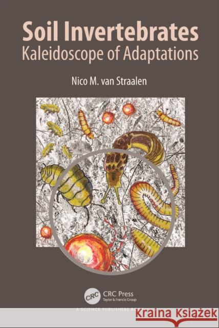 Soil Invertebrates: Kaleidoscope of Adaptations Nico M. Va 9781032480336 Taylor & Francis Ltd - książka