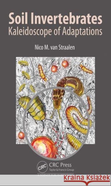 Soil Invertebrates: Kaleidoscope of Adaptations Nico M. Va 9781482231236 Apple Academic Press - książka