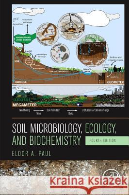 Soil Microbiology, Ecology and Biochemistry   9780124159556 ACADEMIC PRESS - książka